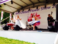 View Chelsea Flower Show